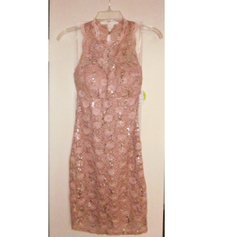 New Winsor Pastel light pink sequin lace dress