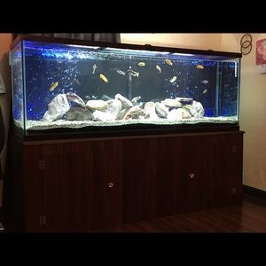 Meet your Posher, Elissa