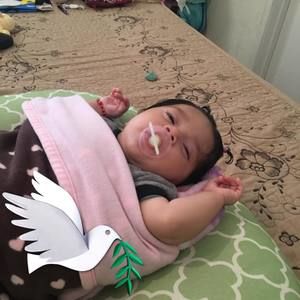 Meet your Posher, Nancy