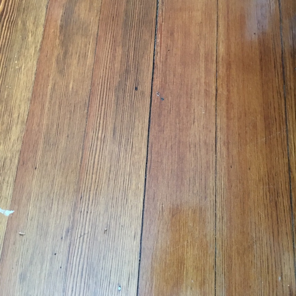 Adidas nmd for @nicole801