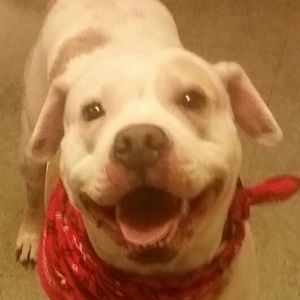 Meet your Posher, Randi