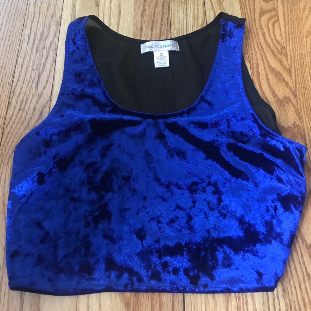 Blue Velvet Crop Top
