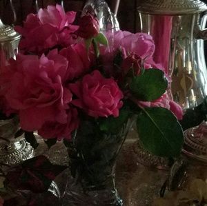 Meet your Posher, Molly