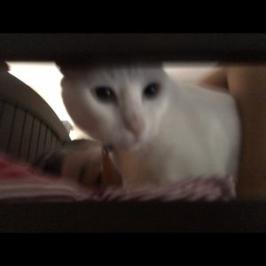 Meet your Posher, Susie