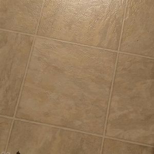 Meet your Posher, Johnny