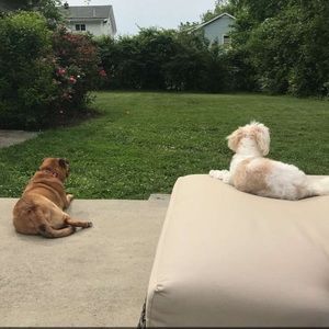 Meet your Posher, Ellen