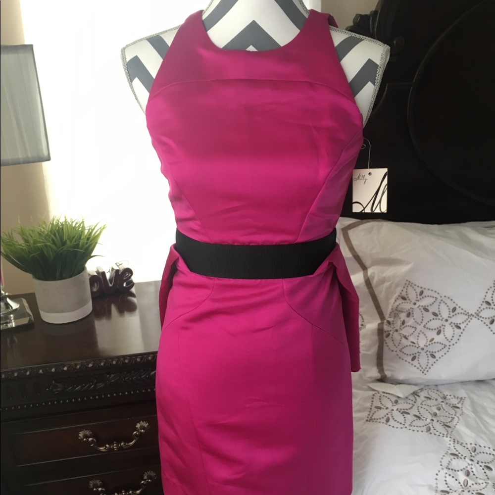 Hot Pink Milly Short Party Dress