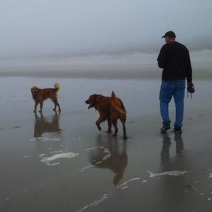 Meet your Posher, Sue