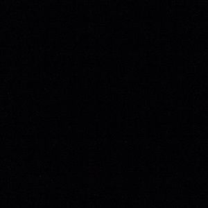 Meet your Posher, Elsa