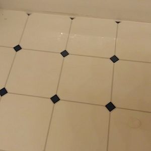 Meet your Posher, Judy