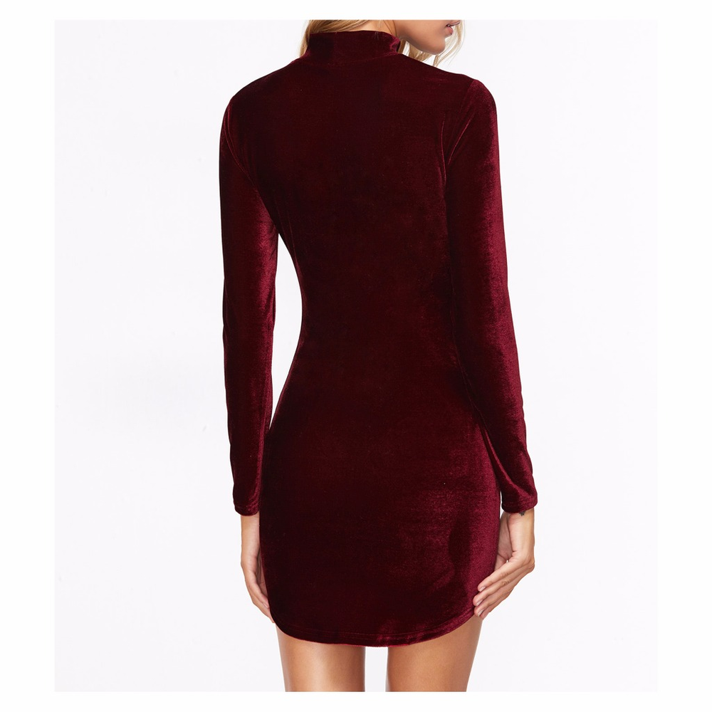 Burgundy Red High Neck Bodycon Velvet Dress - Picture 3 of 7
