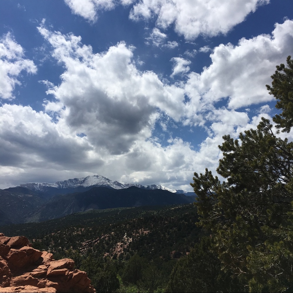 Meet your Posher, Madison