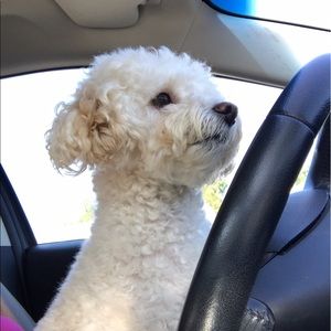 Meet your Posher, Lala