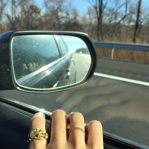 Verameat Dino Eating Fried Chicken Ring