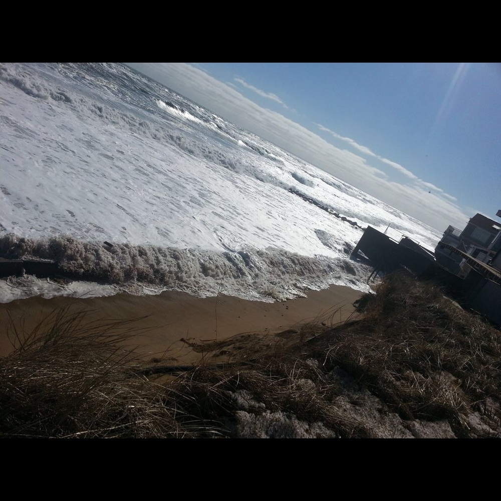 Meet your Posher, Paula