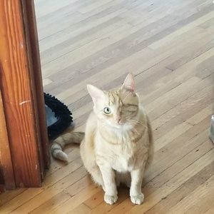 Meet your Posher, Anna