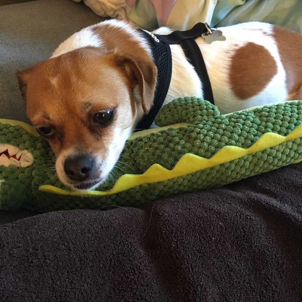 "But mom when can we go outside and play?"