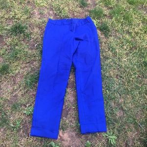 Editor pants blue