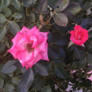 Welcome to my closet!