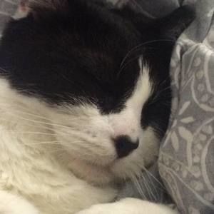 Meet your Posher, Christine