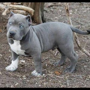 Meet your Posher, Camila