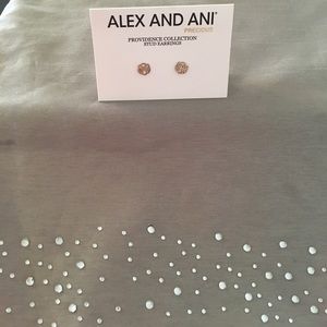 Alex and Ani Path of Life Earrings