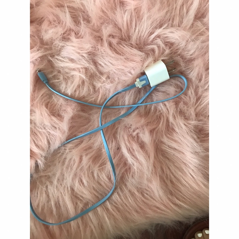IPhone charger/ USED