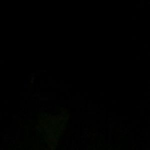 Meet your Posher, Marvin