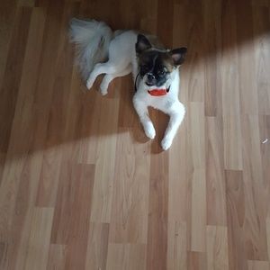 Meet your Posher, Kathy