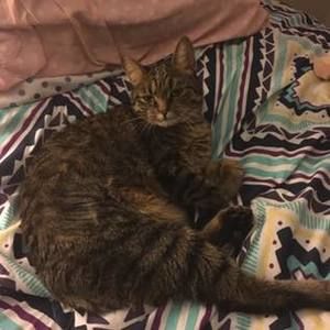 Meet your Posher, Tina