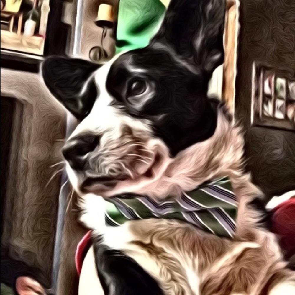 Meet your Posher, Michelle