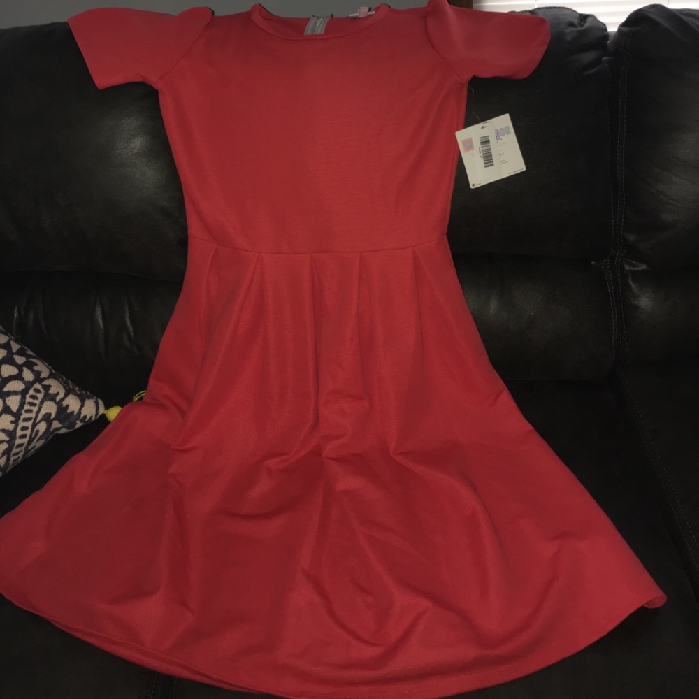 NWT Amelia! Gorgeous! Size Medium.