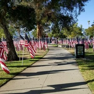 Meet your Posher, Kristiana