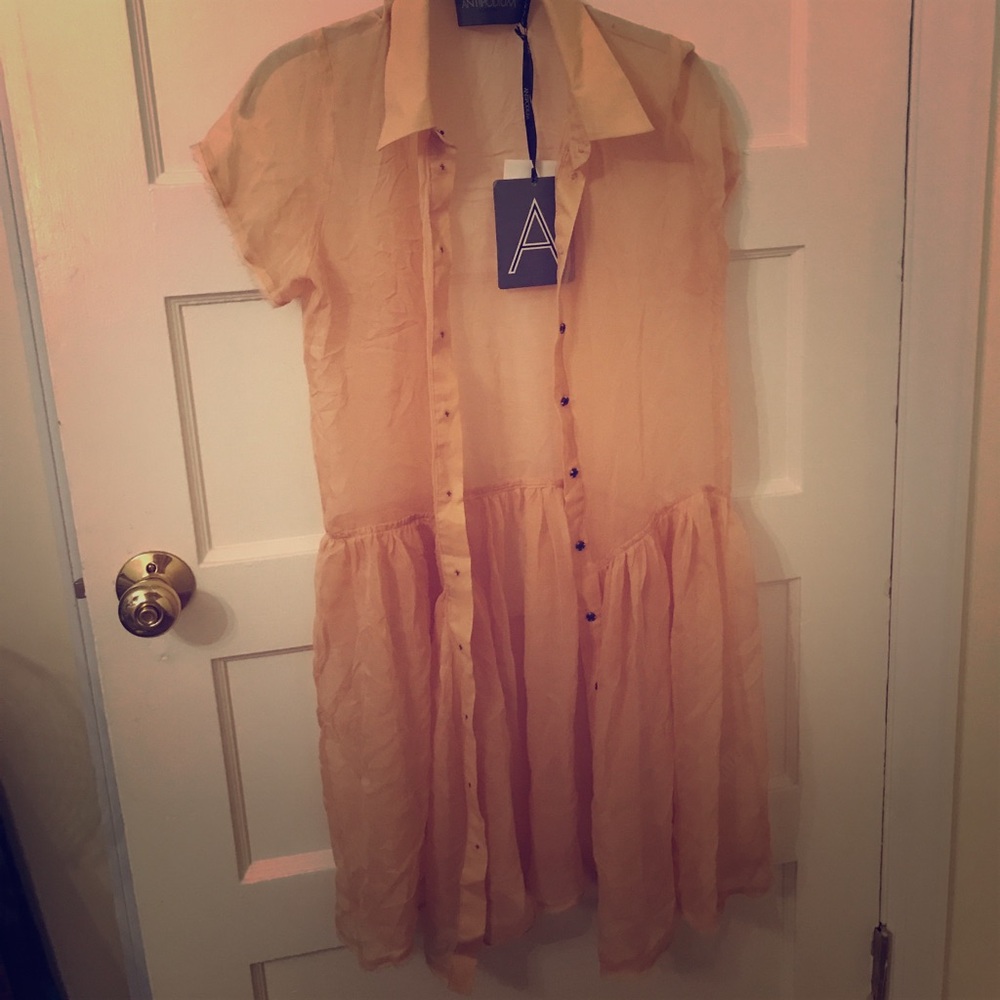 Sheer button up dress/cardigan