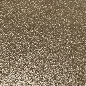 Meet your Posher, Leonardo