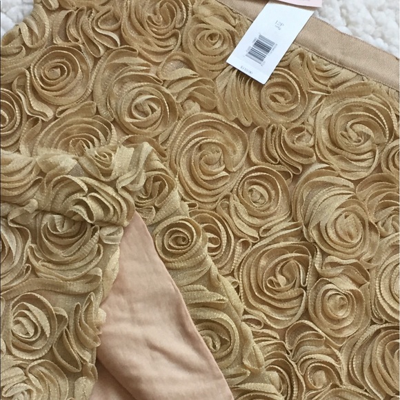 Banana Republic Rosset Gold Skirt - Picture 3 of 5