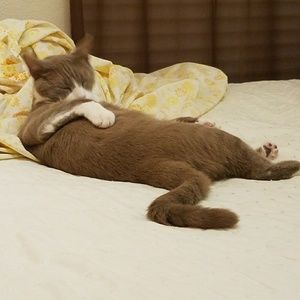 Meet your Posher, Raul