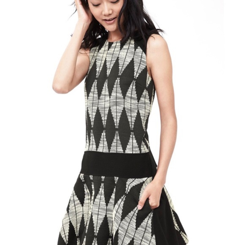 Banana Republic Diamond Jacquard Drop Waist Dress