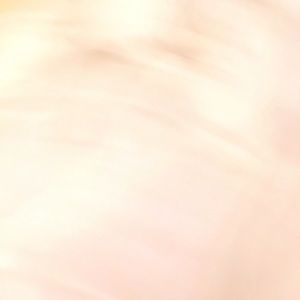 Meet your Posher, Isabella