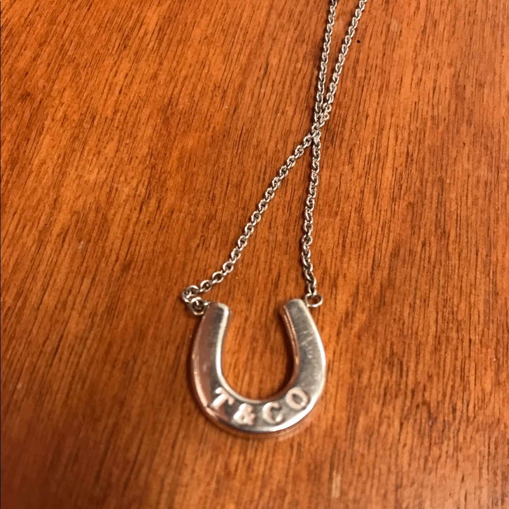 Tiffany & Co Horseshoe Necklace, Sterling Silver