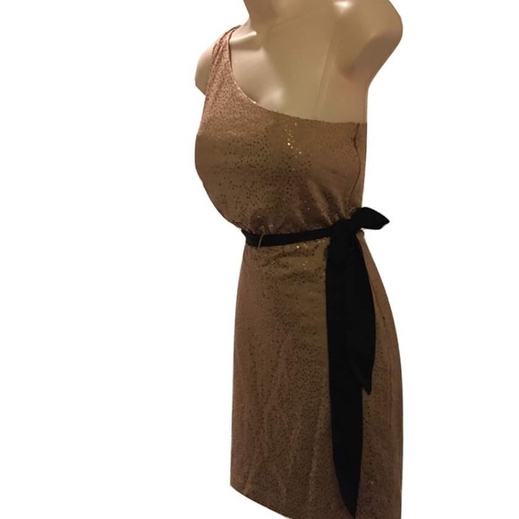 Max & Cleo Warm Taupe Sequined Claudia Dress - Picture 3 of 4