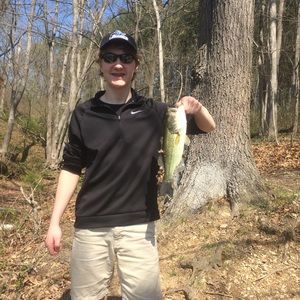 Meet your Posher, Jake