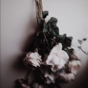 Meet your Posher, Eliza