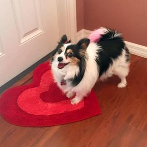 Meet your Posher, Jill