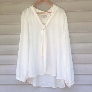 🔥Summer Sale🔥Classic Portfolio Top