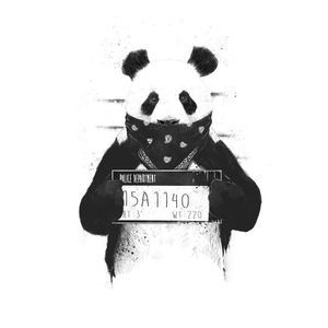 Meet your Posher, Tony