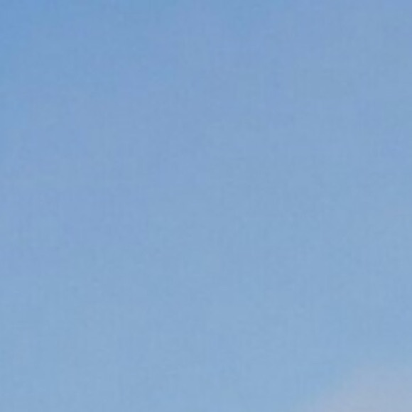 Meet your Posher, Desmond - Picture 1 of 1