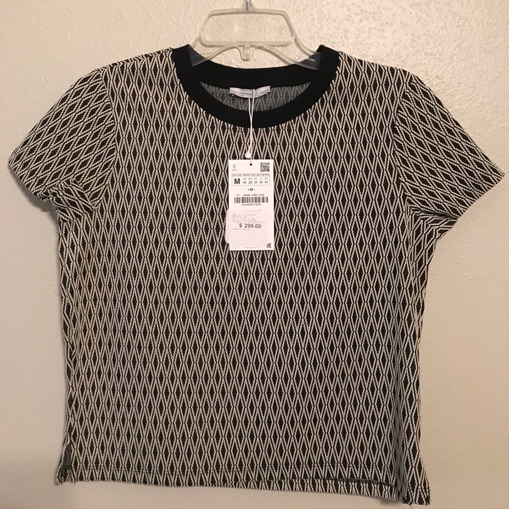 Zara Trafaluc Collection Crop Top