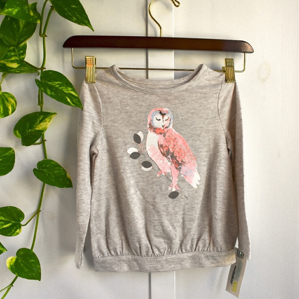 NWT Owl Oatmeal Pullover Top Kids