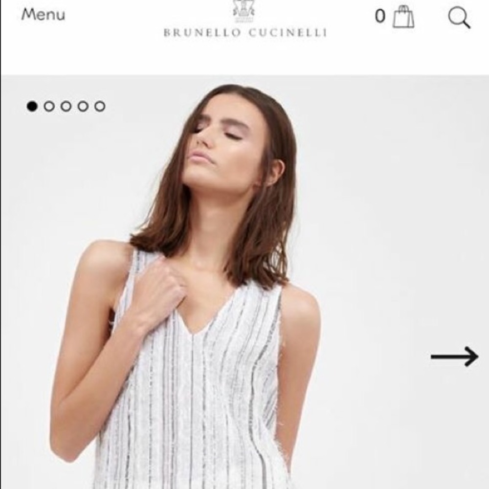 Brand New  - Crispy Silk Chiffon Ethnic Top